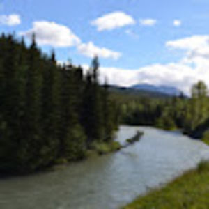 Meet your Posher, Sean